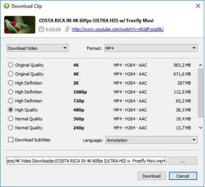 for windows instal 4K Downloader 5.7.6